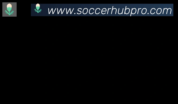 FIFA世界杯买球入口合作伙伴